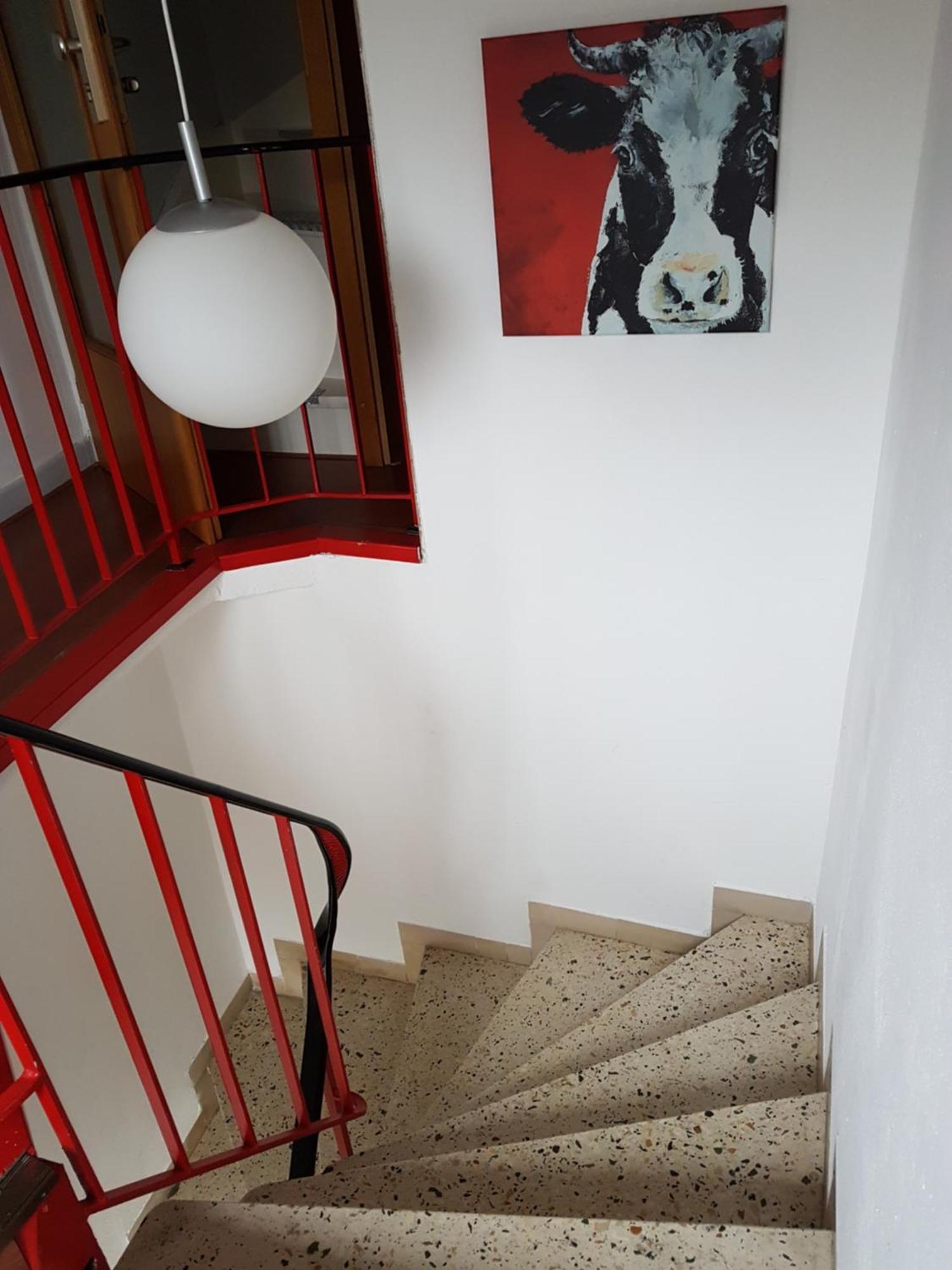 Haus Marlene Apartment Zell an der Mosel Bagian luar foto