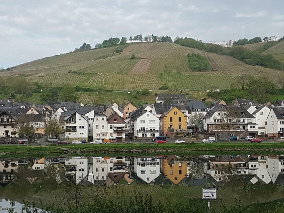 Haus Marlene Apartment Zell an der Mosel Bagian luar foto
