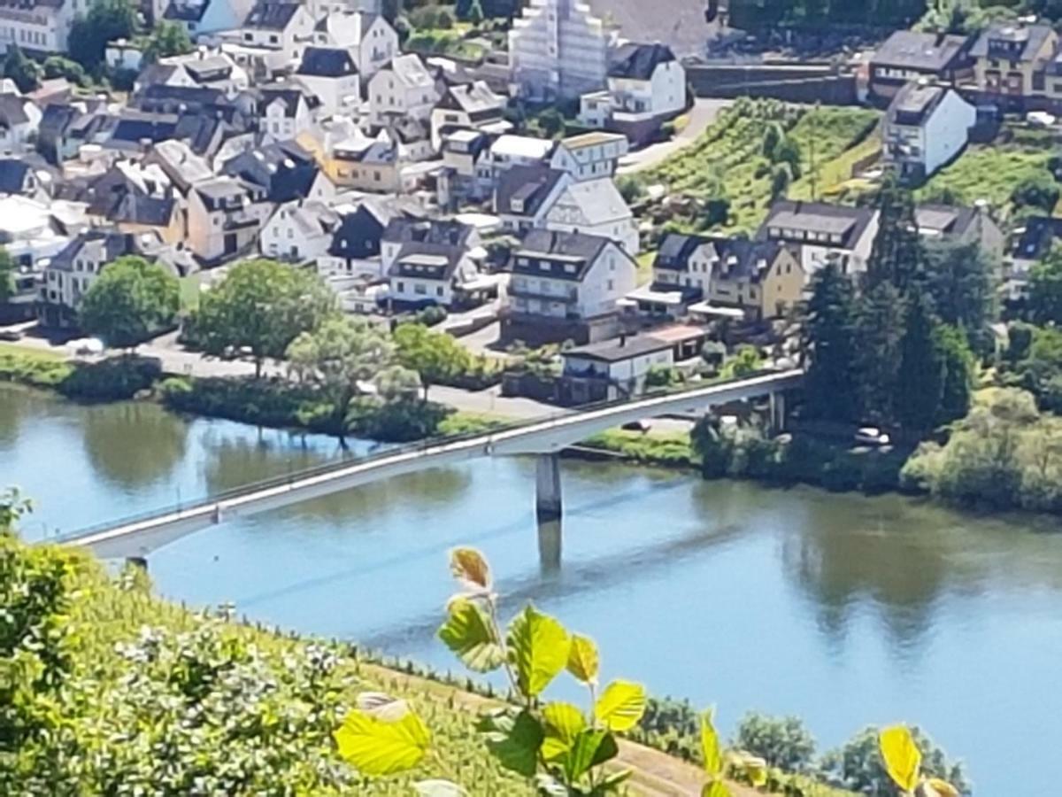 Haus Marlene Apartment Zell an der Mosel Bagian luar foto